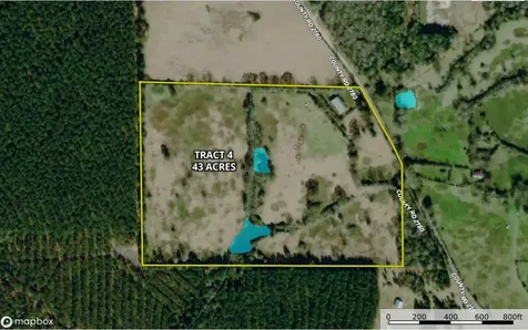 0004 County Road 2780 Woodville TX 75979