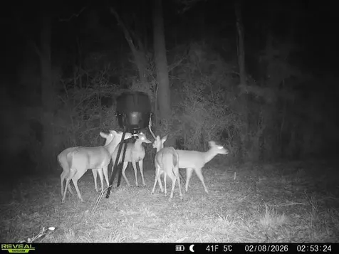 0004 County Road 2780 Woodville TX 75979