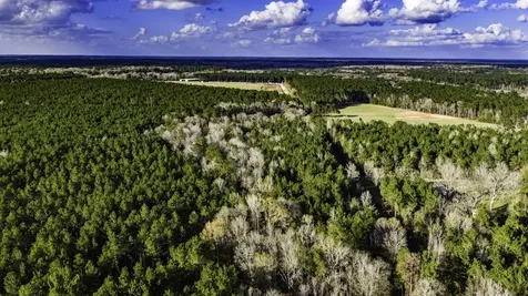 000 Holly Grove Road Livingston TX 77351