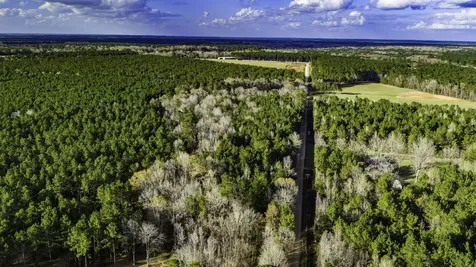 000 Holly Grove Road Livingston TX 77351