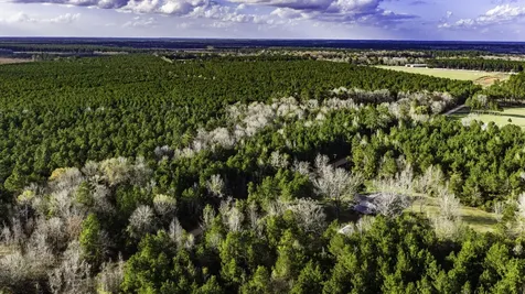 000 Holly Grove Road Livingston TX 77351