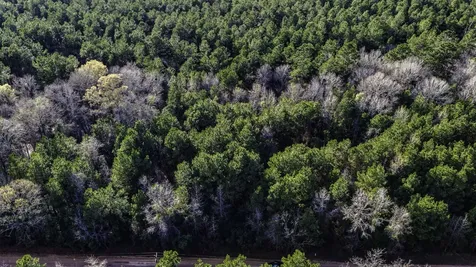 000 Holly Grove Road Livingston TX 77351