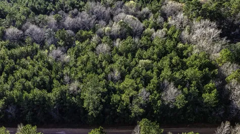 000 Holly Grove Road Livingston TX 77351