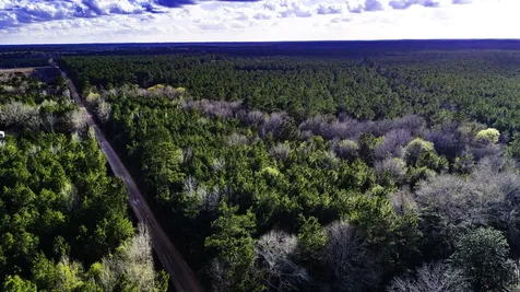 000 Holly Grove Road Livingston TX 77351