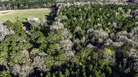 000 Holly Grove Road Livingston TX 77351