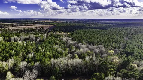 000 Holly Grove Road Livingston TX 77351