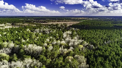 000 Holly Grove Road Livingston TX 77351