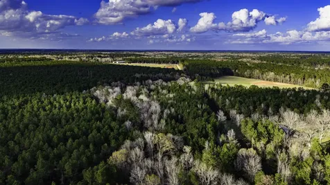 000 Holly Grove Road Livingston TX 77351