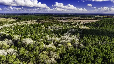 000 Holly Grove Road Livingston TX 77351