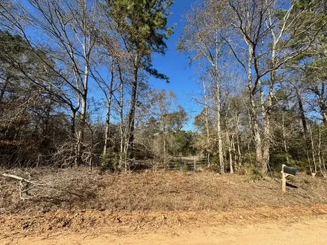 Tbd Lee Turner Road Cleveland TX 77328
