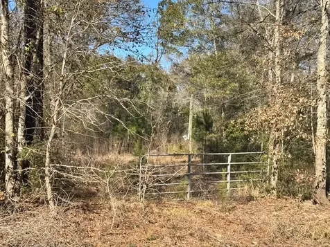Tbd Lee Turner Road Cleveland TX 77328