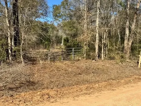 Tbd Lee Turner Road Cleveland TX 77328