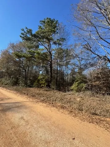 Tbd Lee Turner Road Cleveland TX 77328
