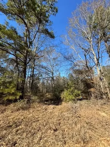 Tbd Lee Turner Road Cleveland TX 77328