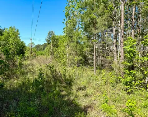 1 Old Houston Road Huntsville TX 77340