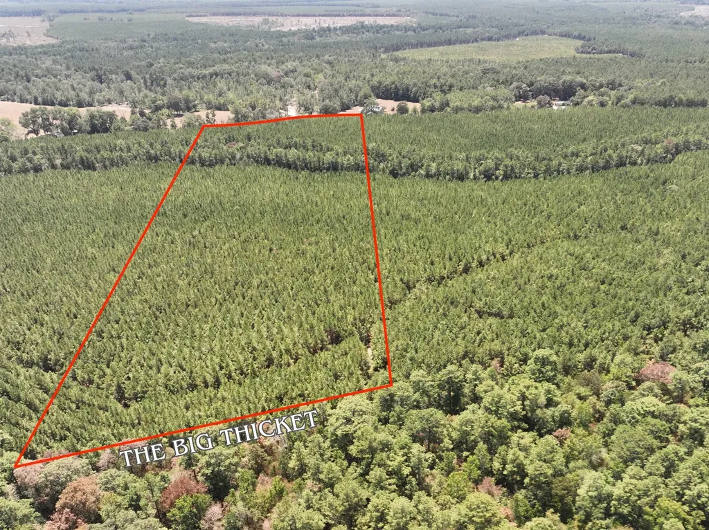 0 Sunflower Road Livingston TX 77351