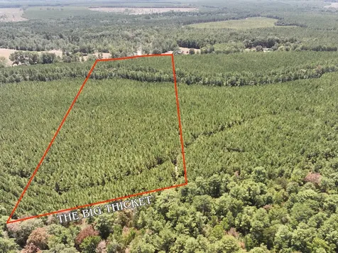 0 Sunflower Road Livingston TX 77351