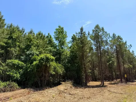 0 Sunflower Road Livingston TX 77351