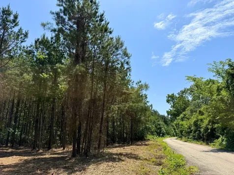 0 Sunflower Road Livingston TX 77351