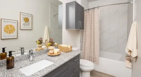 1505 Oliver Street 211 Houston TX 77007