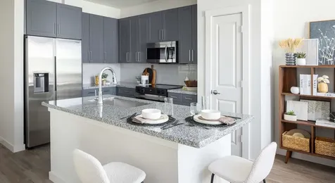 1505 Oliver Street 211 Houston TX 77007