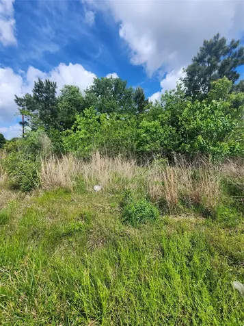 1117 County Road 3556 Cleveland TX 77327