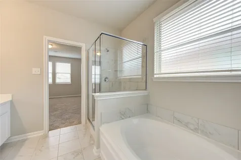 26019 Steele Flower Drive Richmond TX 77406