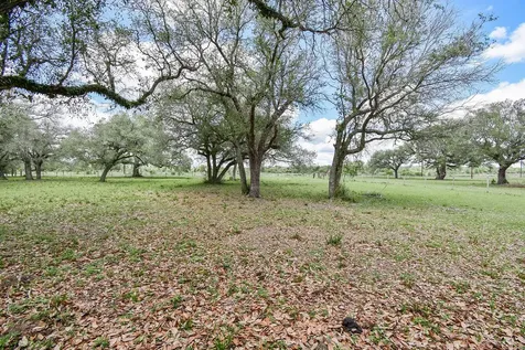 4427 County Road 382 Louise TX 77455