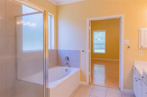 111 Regan Mead Court The Woodlands TX 77382