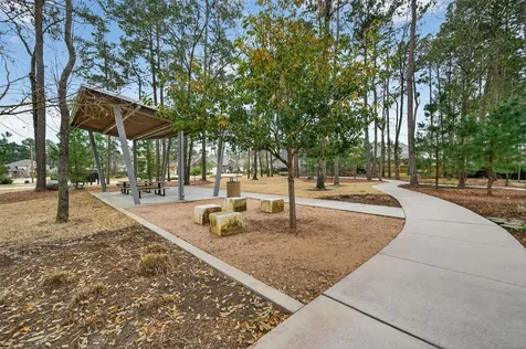 810 Spruce Pine Drive Willis TX 77318