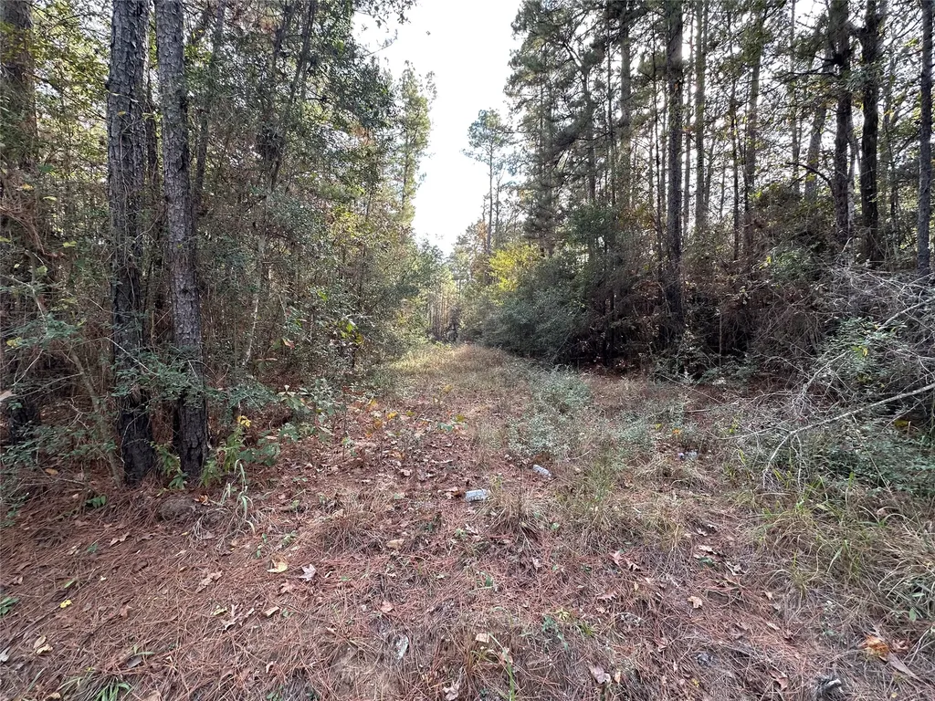 186 Rosanky Livingston TX 77351
