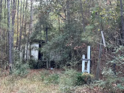 186 Rosanky Livingston TX 77351