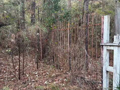 186 Rosanky Livingston TX 77351