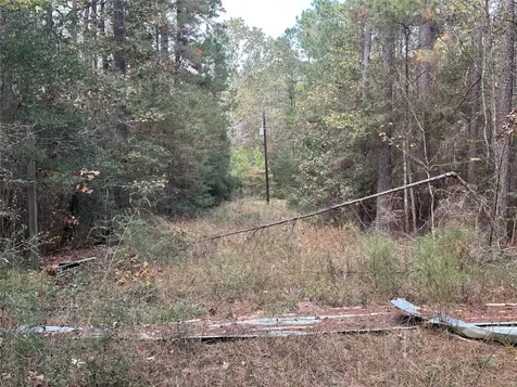 186 Rosanky Livingston TX 77351
