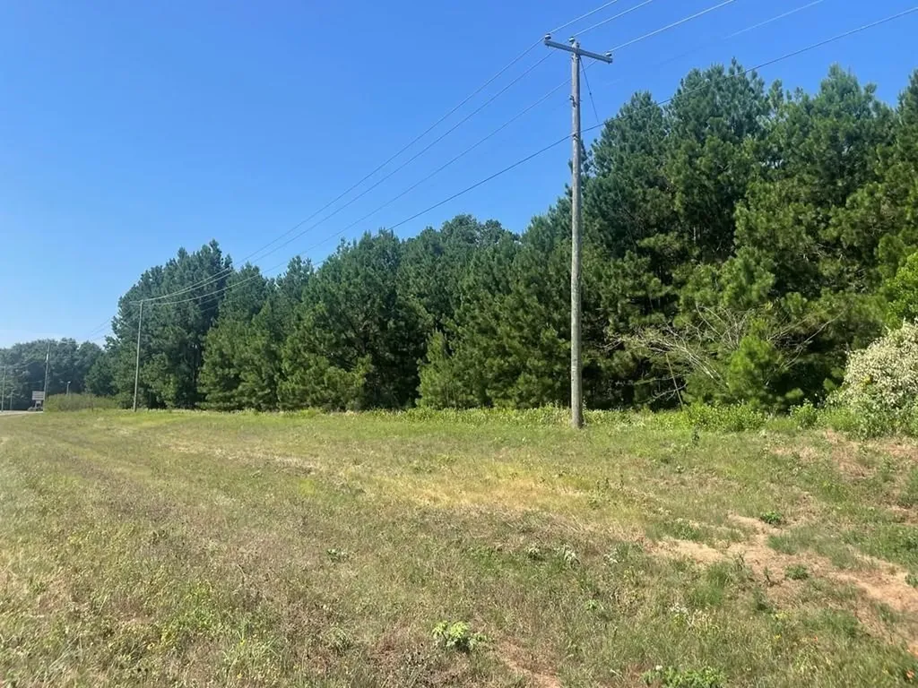 Tbd N 287 Highway Grapeland TX 75844