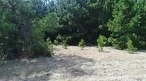 Tbd N 287 Highway Grapeland TX 75844