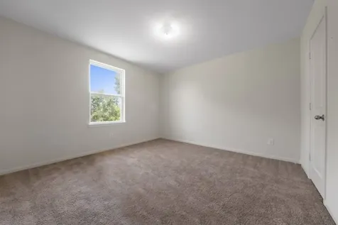 1327 Diamond Drape Drive Rosharon TX 77583