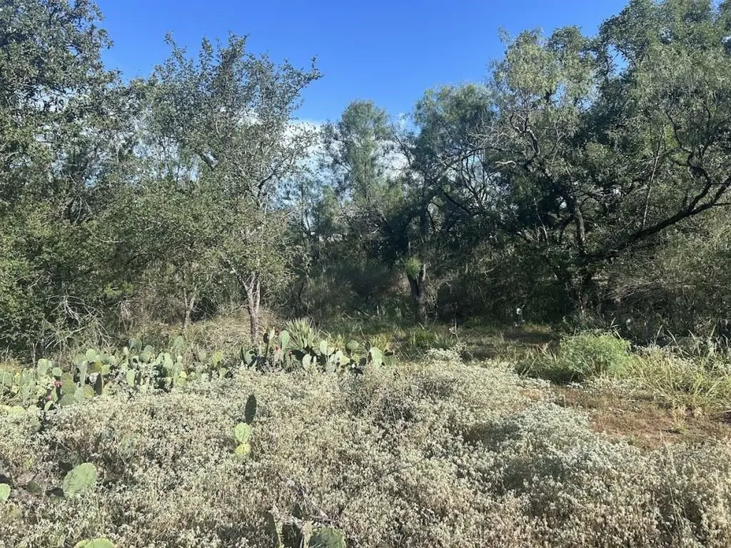 0 Glen Forest Drive Granite Shoals TX 78654