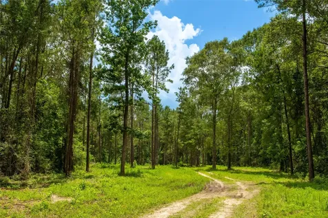 0 County Road 547 Kirbyville TX 75956