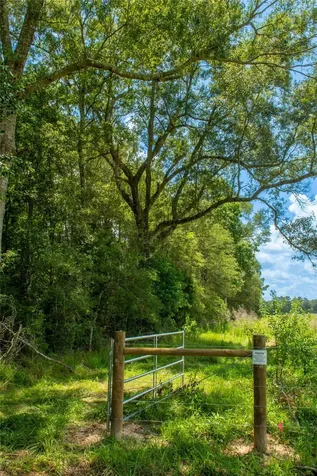 0 County Road 547 Kirbyville TX 75956