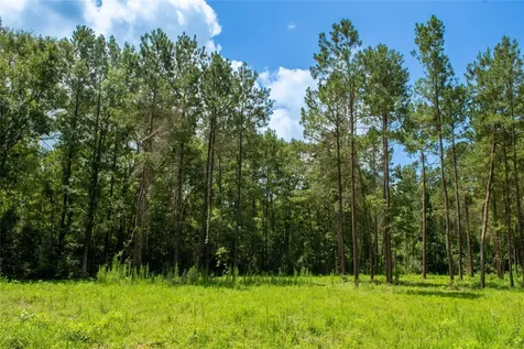 0 County Road 547 Kirbyville TX 75956
