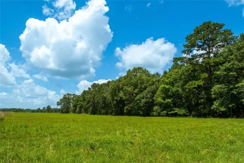 0 County Road 547 Kirbyville TX 75956