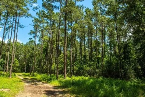 0 County Road 547 Kirbyville TX 75956