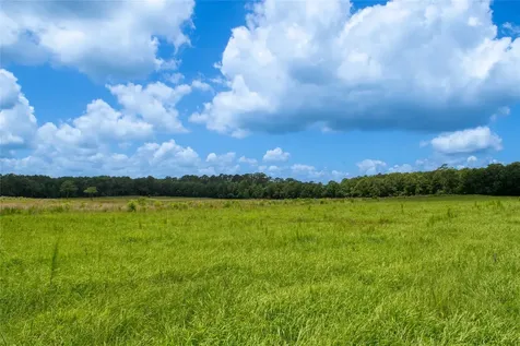 0 County Road 547 Kirbyville TX 75956
