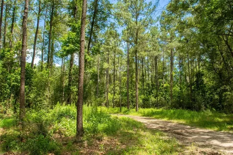 0 County Road 547 Kirbyville TX 75956