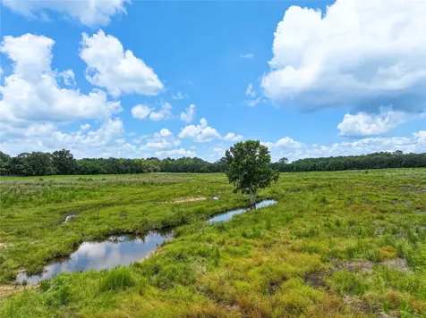 0 County Road 547 Kirbyville TX 75956
