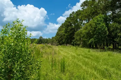 0 County Road 547 Kirbyville TX 75956