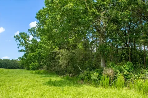 0 County Road 547 Kirbyville TX 75956