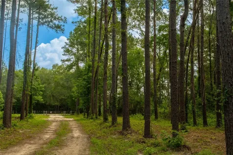0 County Road 547 Kirbyville TX 75956