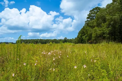 0 County Road 547 Kirbyville TX 75956
